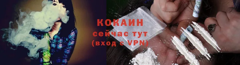 Cocaine FishScale  наркотики  blacksprut вход  Шагонар 